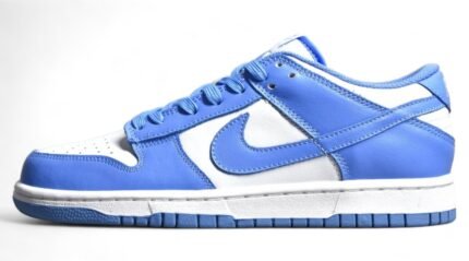 Dunk Low UNC (2021) DD1391-102
