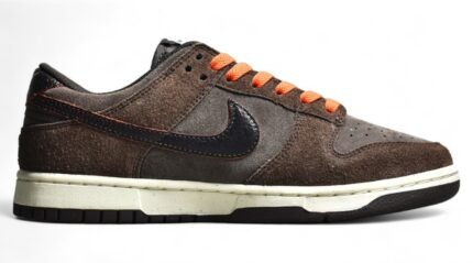 NK SB Dunk Low Baroque Brown DQ8801-200