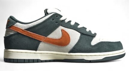 NK Dunk SB Low Eire 304292-185
